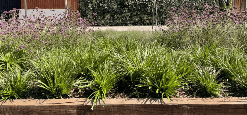 Encuesta sobre Desarrollo Sostenible